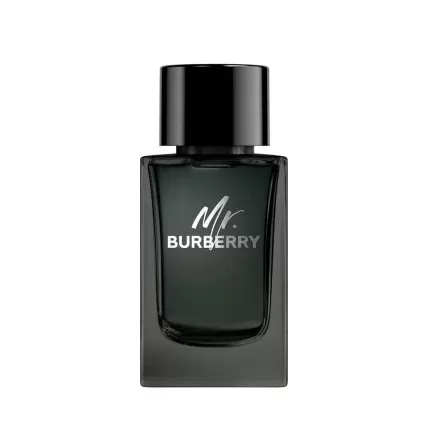 عطر باربری مستر باربری ادو پرفیوم | Burberry Mr. Burberry Eau de Parfum