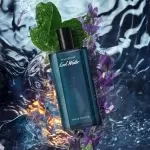 عطر دیویدوف کول واتر مردانه | Davidoff Cool Water for men