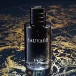 عطر دیور ساواج ادوتویلت (ساواژ ) | Dior Sauvage E.D.T