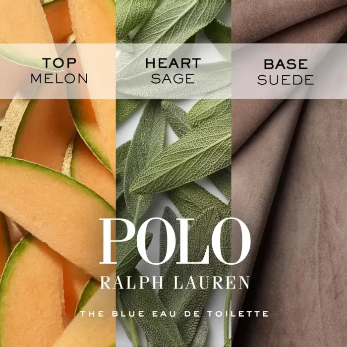 عطر رالف لورن پولو بلو | Ralph Lauren Polo Blue EDT