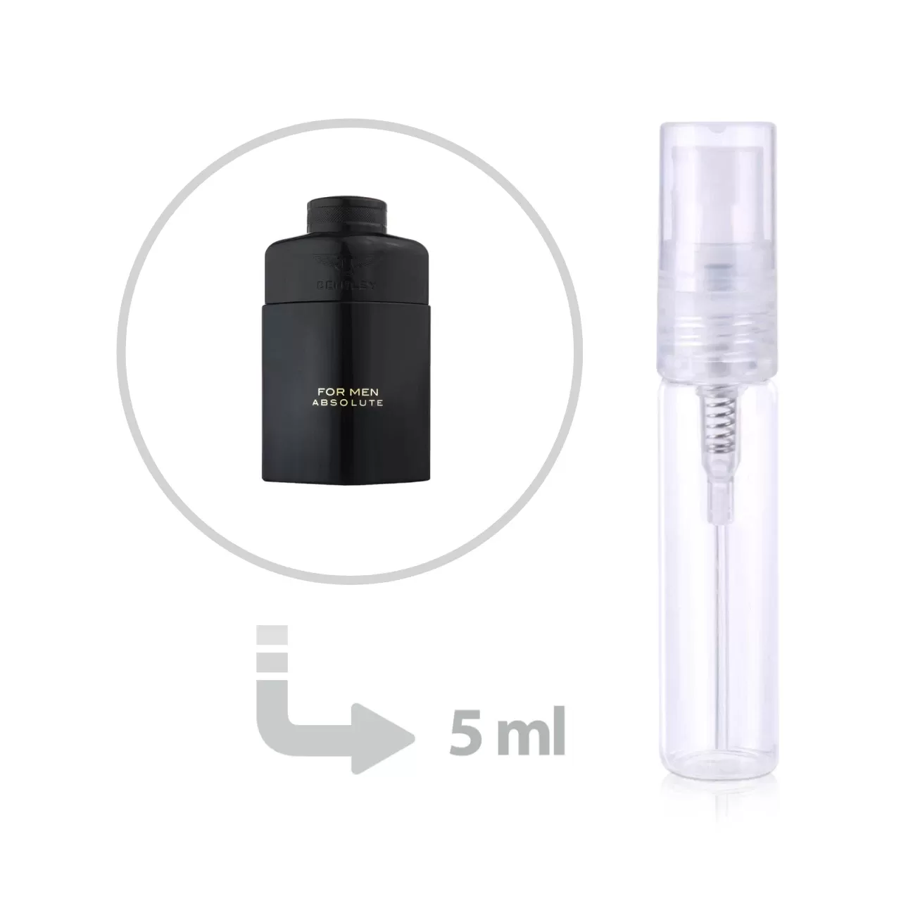 bently for men absolute 5ml decant
