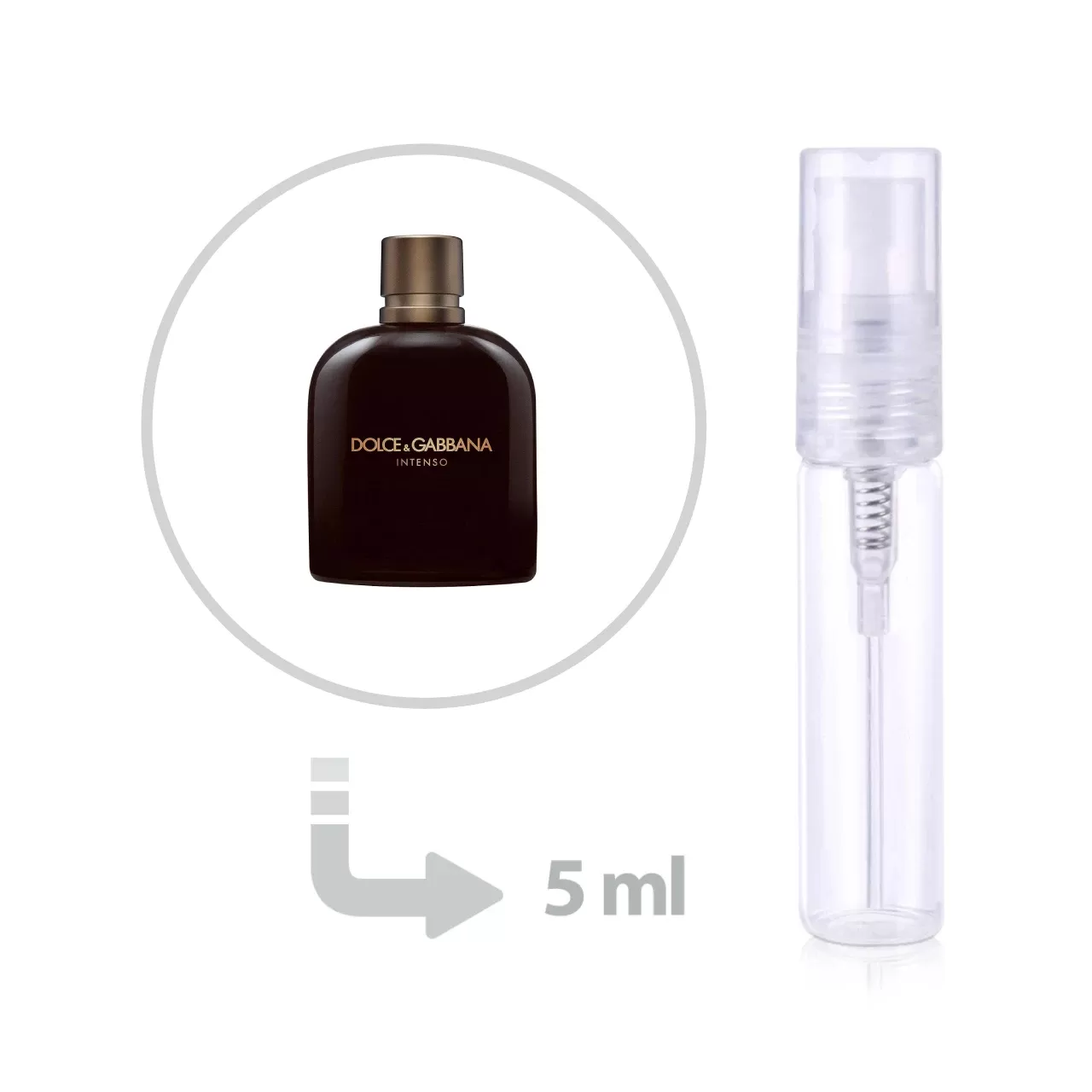 dolce gabbana intenso 5ml decant