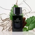 عطر باربری مستر باربری ادو پرفیوم | Burberry Mr. Burberry Eau de Parfum
