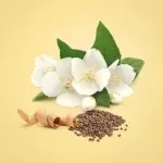 عطر سی کی بیوتی | Calvin Klein Beauty