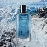 عطر دیویدوف کول واتر پارفوم مردانه | Davidoff Cool Water Parfum for men