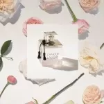 عطر لالیک لامور | Lalique L’Amour