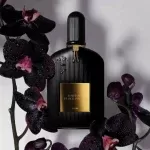 عطر تام فورد بلک ارکید | Tom Ford Black Orchid