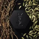 عطر ایو سن لورن لا نویت لهوم | YSL La Nuit de L`Homme