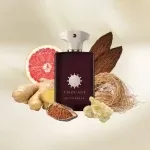 عطر آمواژ باندلس (آمواج) | Amouage Boundless - Image 3