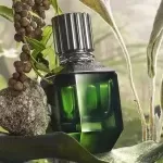 روبرتو کاوالی پارادایس فاوند مردانه | Roberto Cavalli Paradise Found For Men