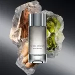 عطر ایسی میاکی لو سل د ایسی | Issey Miyake Le Sel d’Issey - Image 3