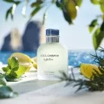 عطر دولچه اند گابانا لایت بلو مردانه | Dolce & Gabbana Light Blue pour Homme
