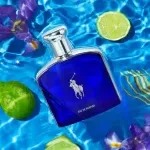 رالف لورن پولو بلو او دو پرفیوم | Ralph Lauren Polo Blue Eau de Parfum - Image 3