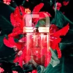 رامون مونگال فلامنکو | Ramon Monegal Flamenco - Image 3