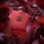 عطر آمواج کریمسون راکس | Amouage Crimson Rocks - Image 3