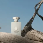 عطر آمواج دسیژن | Amouage Decision - Image 3